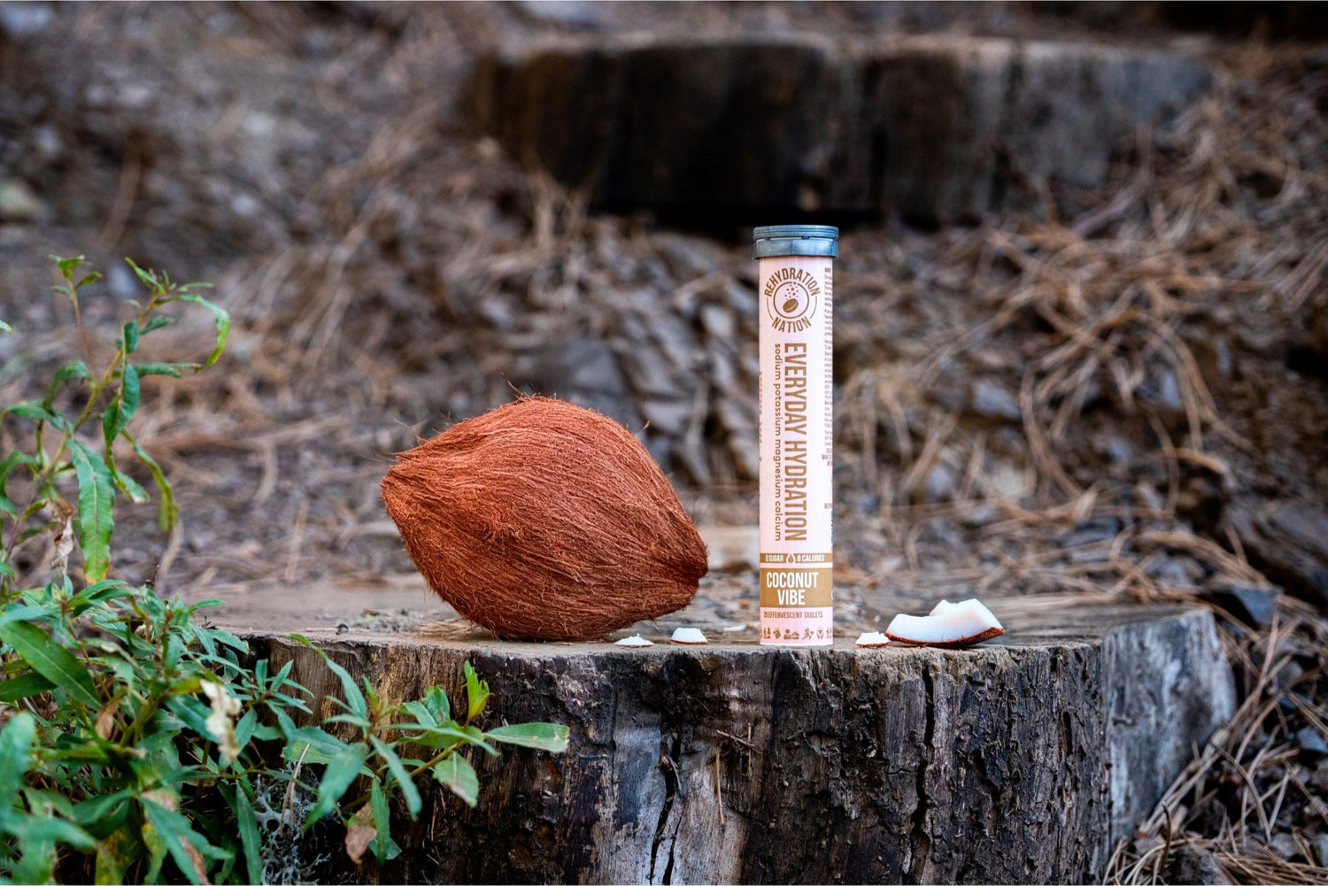 Rehydration Nation Coconut Vibe hydration tablets – tube photographed with whole and sliced coconut on a tree stump outdoors