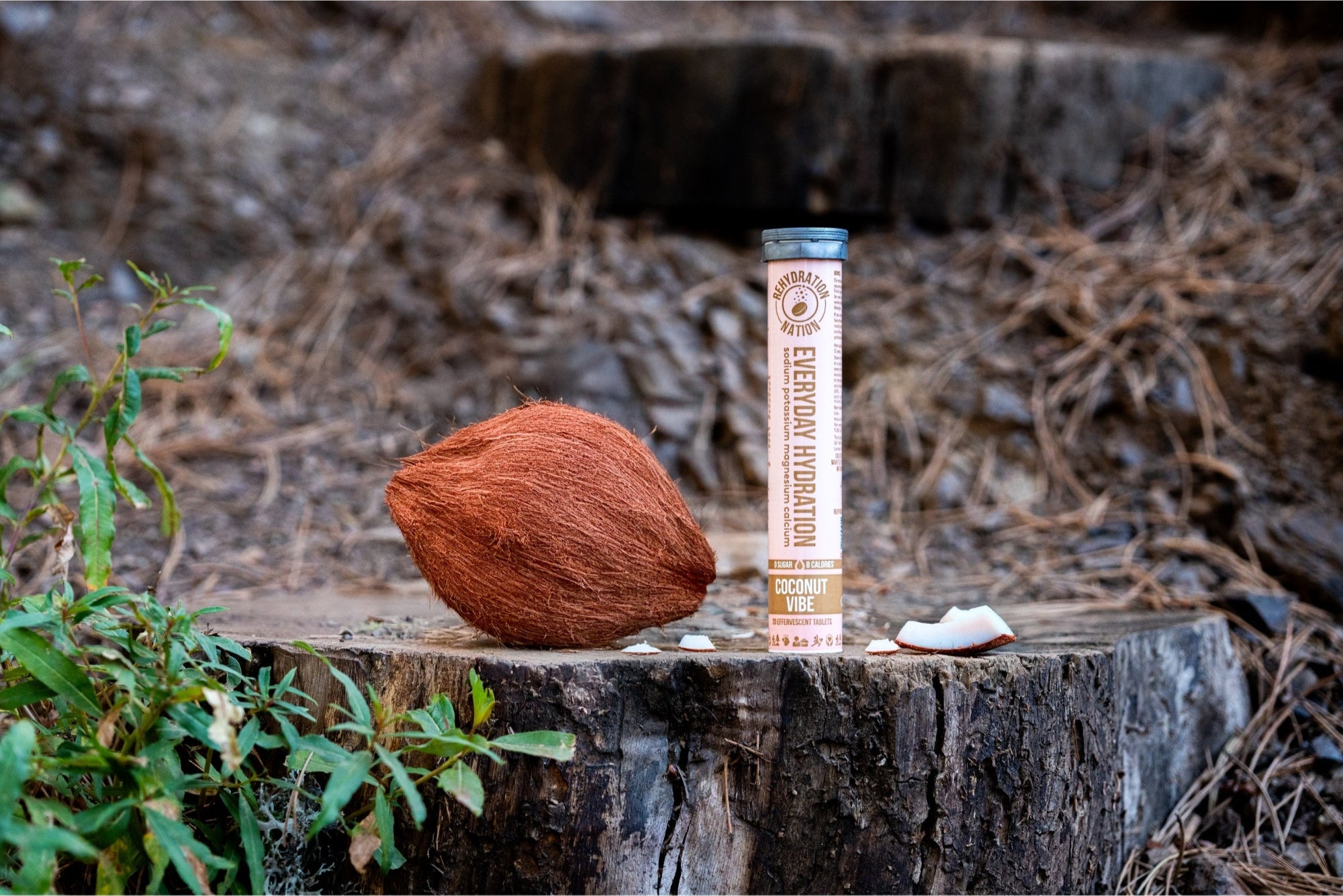 Rehydration Nation Coconut Vibe hydration tablets – tube photographed with whole and sliced coconut on a tree stump outdoors