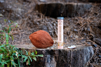 Rehydration Nation Coconut Vibe hydration tablets – tube photographed with whole and sliced coconut on a tree stump outdoors